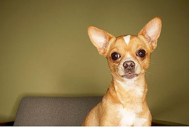 近90%的开发者认为：3A级游戏不需要微交易